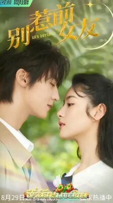 Don’t Mess With EX-Girlfriend อย่าท้านะ นายแฟนเก่า ซับไทย EP.1-20 (จบ)