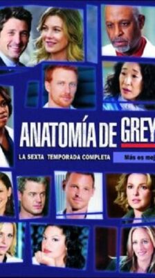Grey’s Anatomy 6 (แพทย์มือใหม่หัวใจเกินร้อย ปี 6) EP.1-24 (จบ)