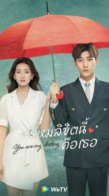 You Are My Destiny (2024) เธอคือพรหมลิขิตของฉัน ซับไทย EP.1- 24 (จบ)